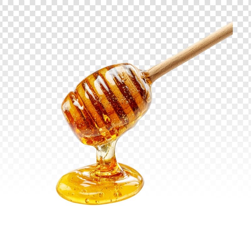 Raw Wild Forest Honey included in Mane Ruchi (Starter Combo)